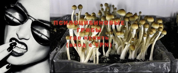 каннабис Белоозёрский