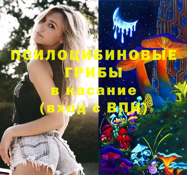 стаф Беломорск