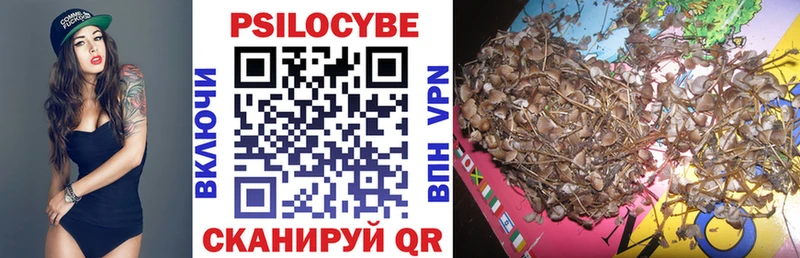 Галлюциногенные грибы Cubensis  хочу наркоту  Пионерский 